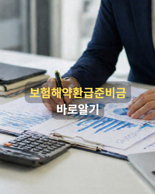 보험해약환급금준비금