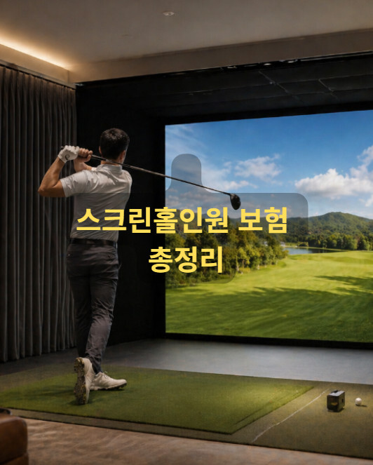 스크린홀인원보험