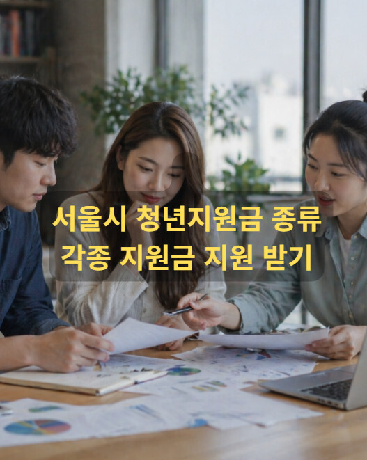 서울시 청년지원금 종류