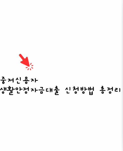 중저신용자