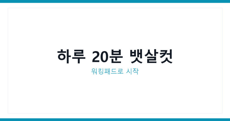 뱃살빼는운동