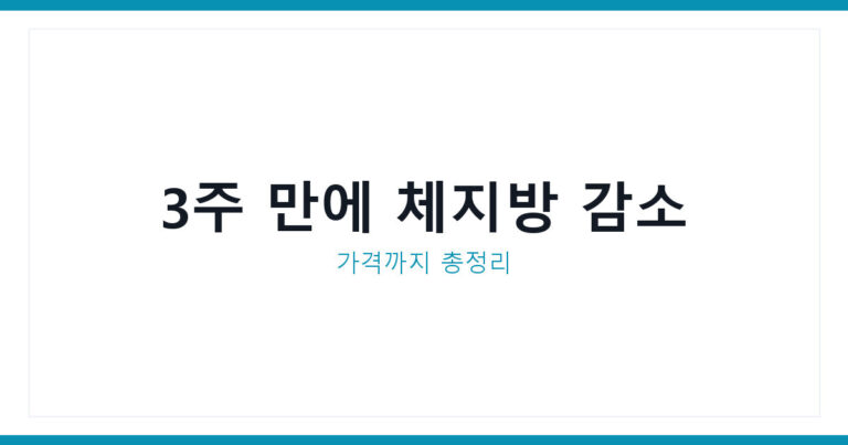 킹스미스 워킹패드