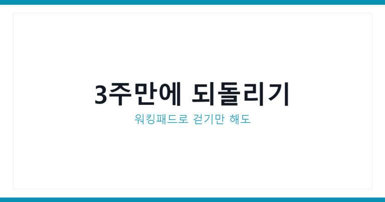 월드컵 다이어트