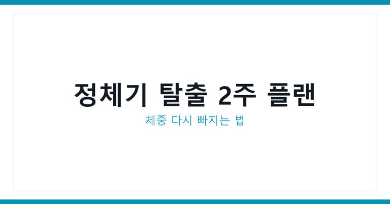 다이어트 정체기 탈출법