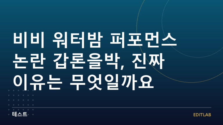 비비 워터밤 퍼포먼스 논란