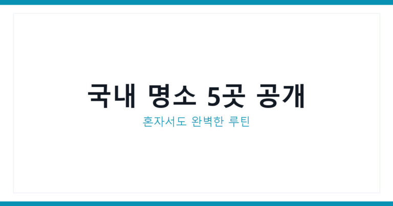 여름 독서 여행