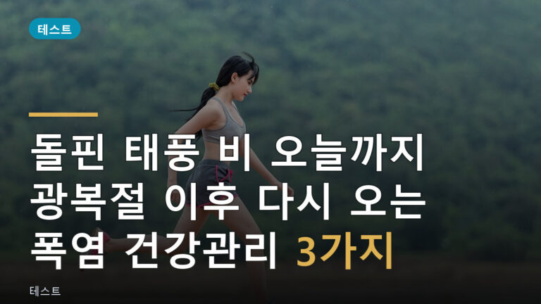 돌핀 태풍 비
