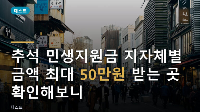 추석 민생지원금