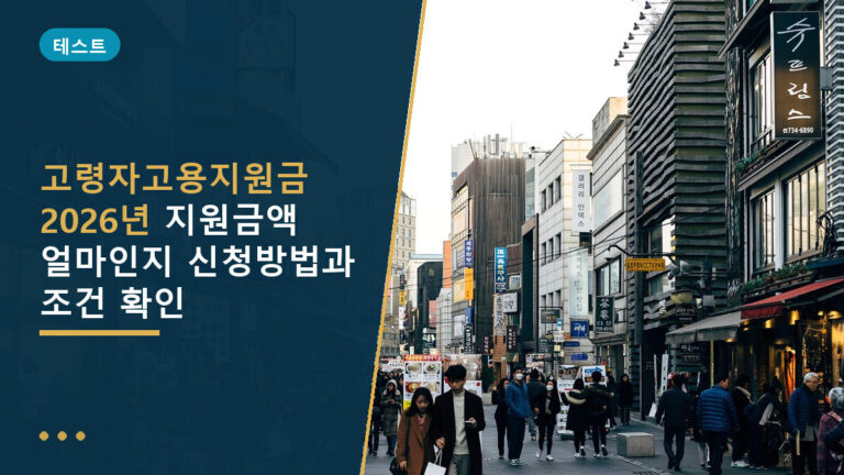 고령자고용지원금