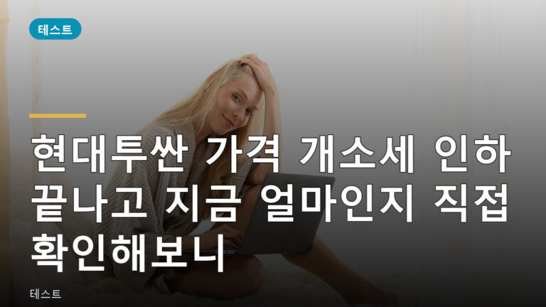 현대투싼 가격