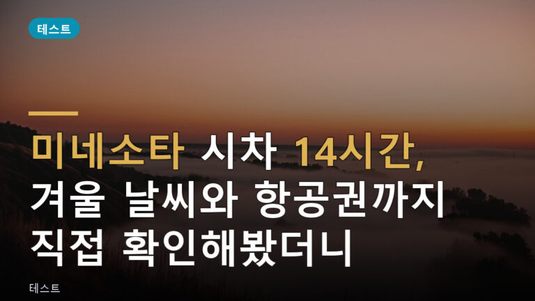 미네소타