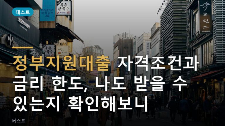 정부지원대출