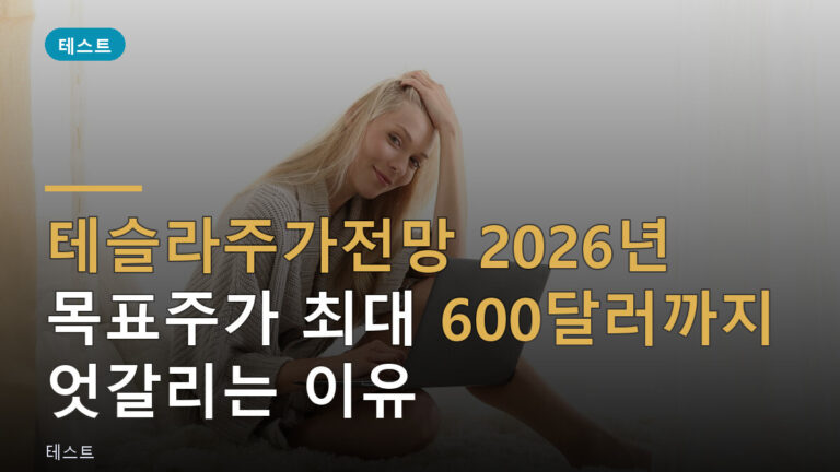 테슬라주가전망