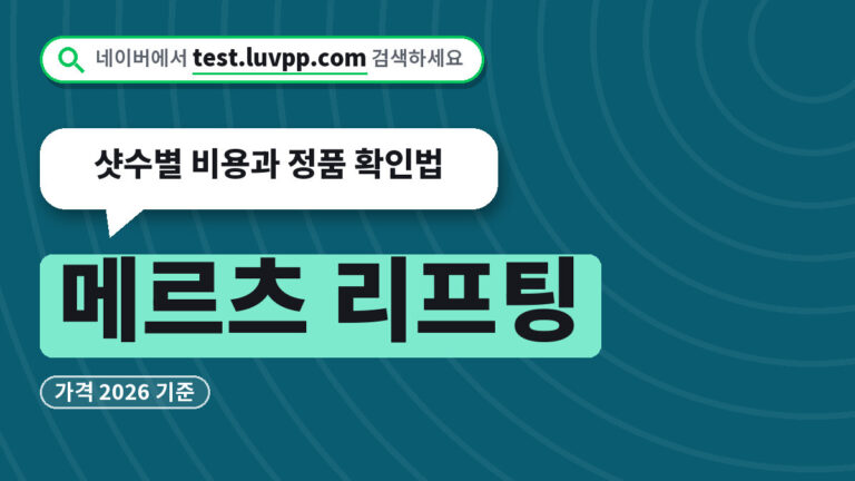 메르츠 리프팅