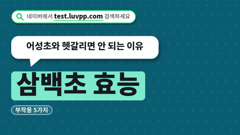삼백초 효능
