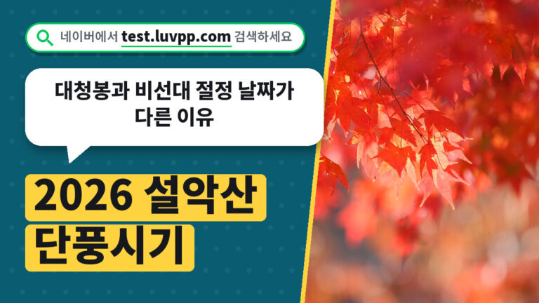 2026 설악산 단풍시기