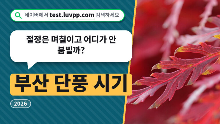 부산 단풍 시기