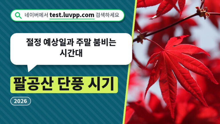 팔공산 단풍 시기