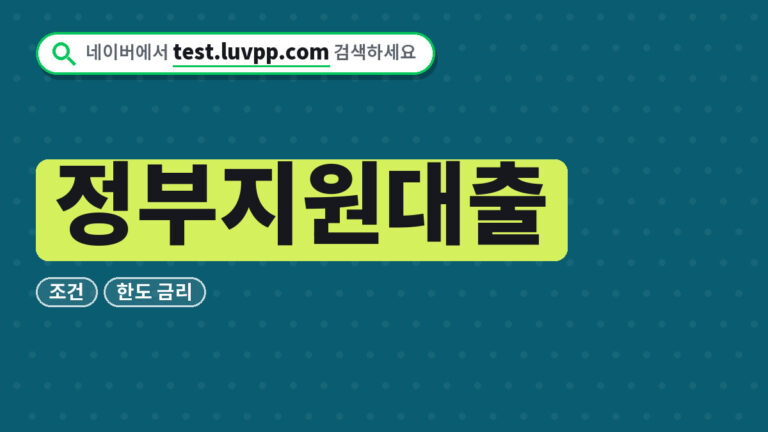 정부지원대출