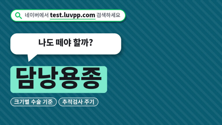 담낭용종
