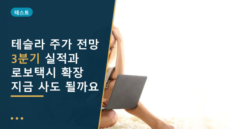 테슬라 주가 전망